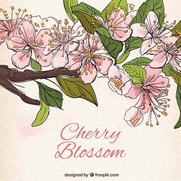 Рисованный фон из цветущей вишни