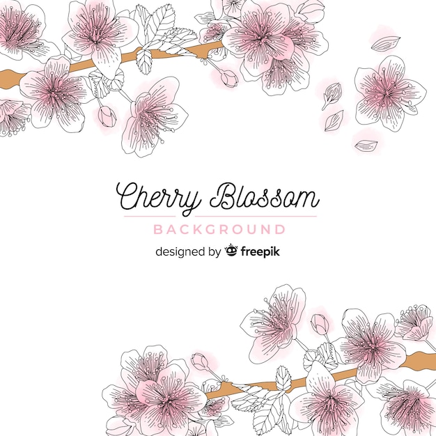 Free vector hand drawn cherry blossom background