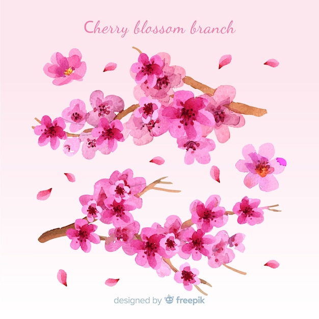 Hand drawn cherry blossom background