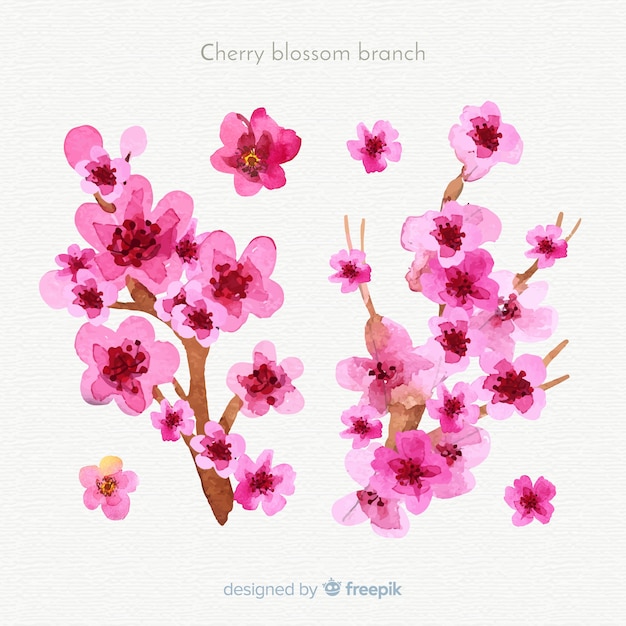 Free vector hand drawn cherry blossom background