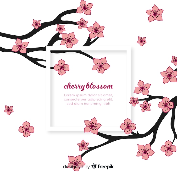 Free Vector hand drawn cherry blossom background