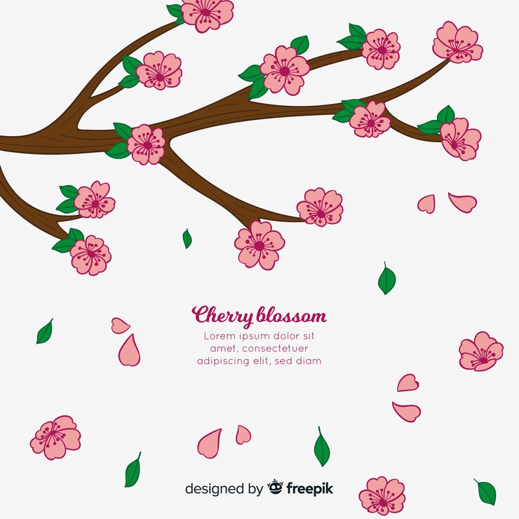 Free Vector hand drawn cherry blossom background