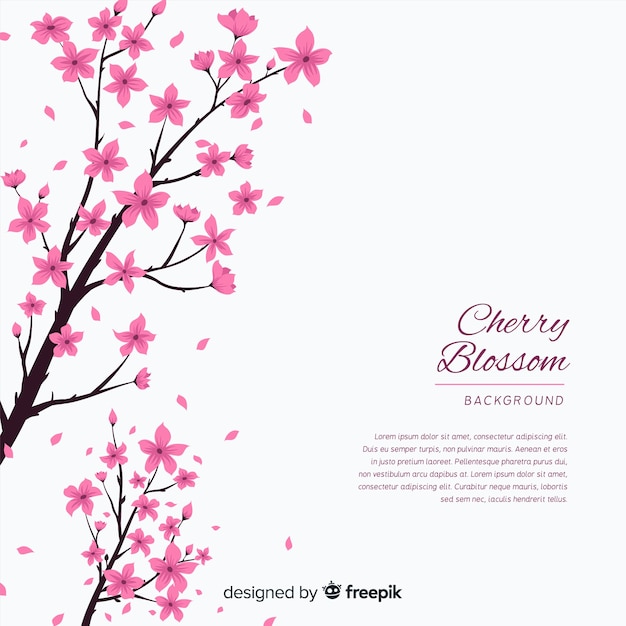 Free vector hand drawn cherry blossom background