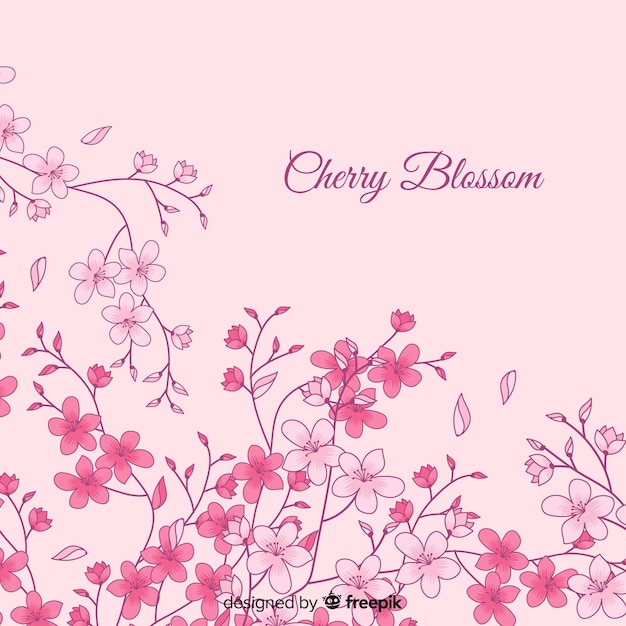 Free vector hand drawn cherry blossom background