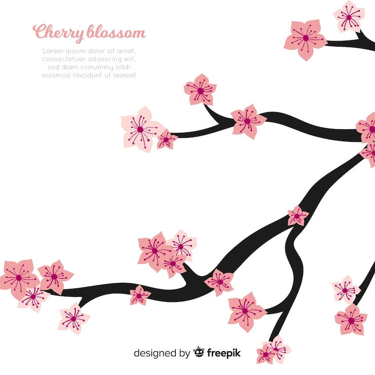 Free Vector hand drawn cherry blossom background