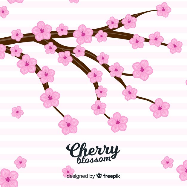 Hand drawn cherry blossom background