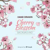 Free vector hand drawn cherry blossom background