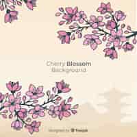 Free vector hand drawn cherry blossom background