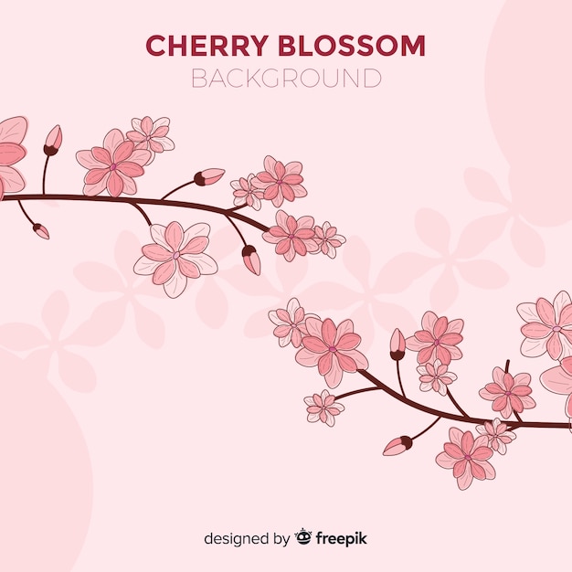 Free vector hand drawn cherry blossom background