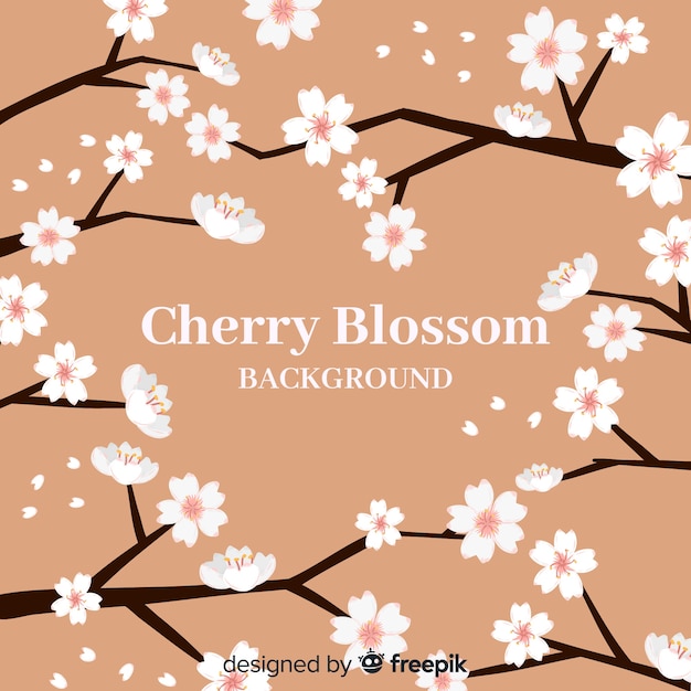 Free vector hand drawn cherry blossom background