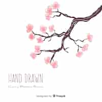 Free vector hand drawn cherry blossom background