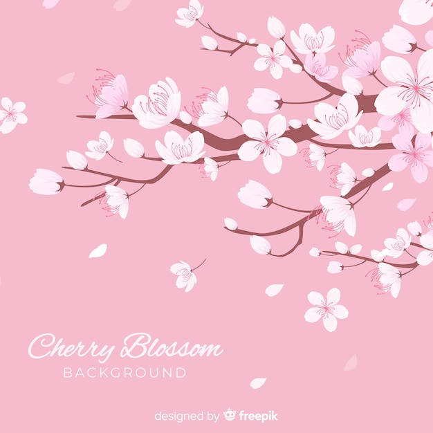 Free vector hand drawn cherry blossom background