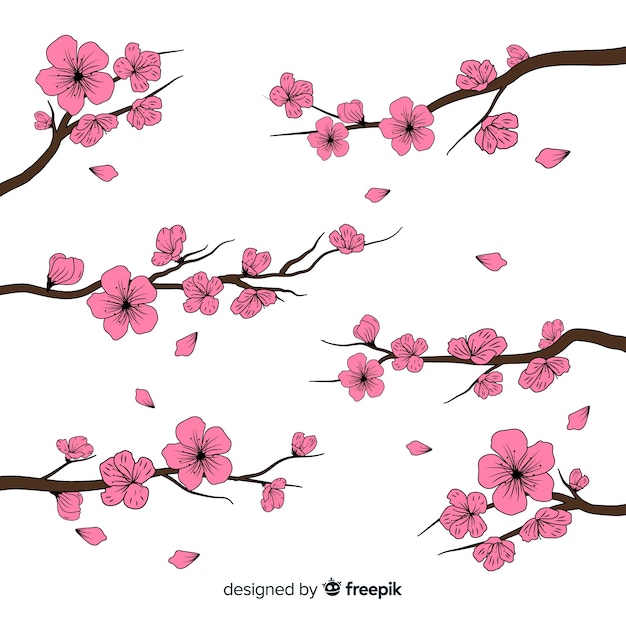 Free vector hand drawn cherry blossom branch background