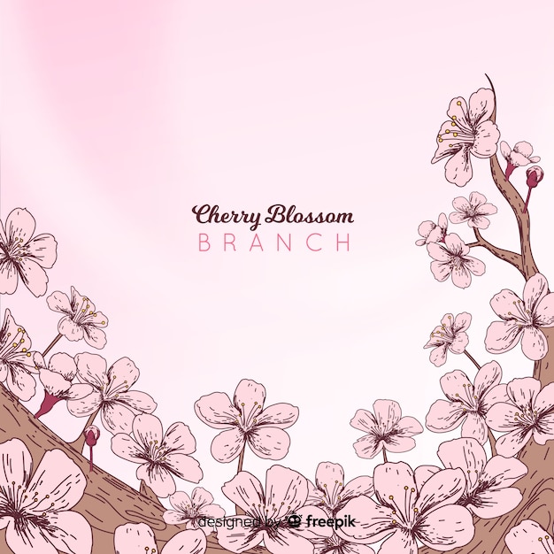 Hand drawn cherry blossom branch background