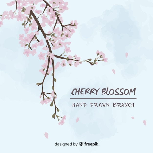 Hand drawn cherry blossom branch background