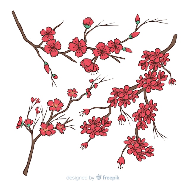 Бесплатное векторное изображение Нарисованная рукой иллюстрация ветви вишневого цвета
