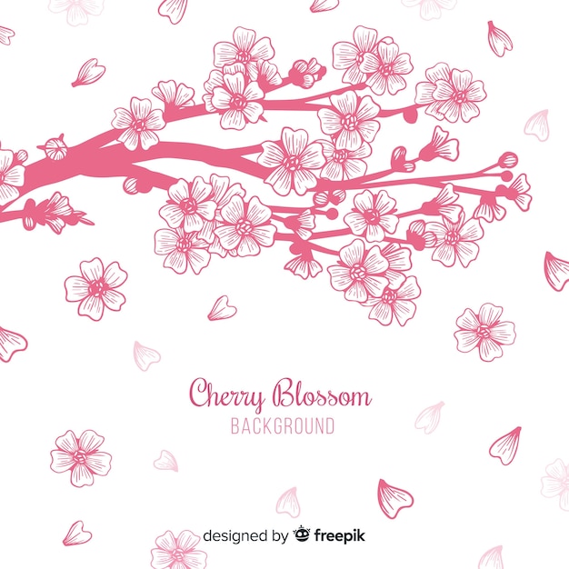 Hand drawn cherry blossom branch illustration