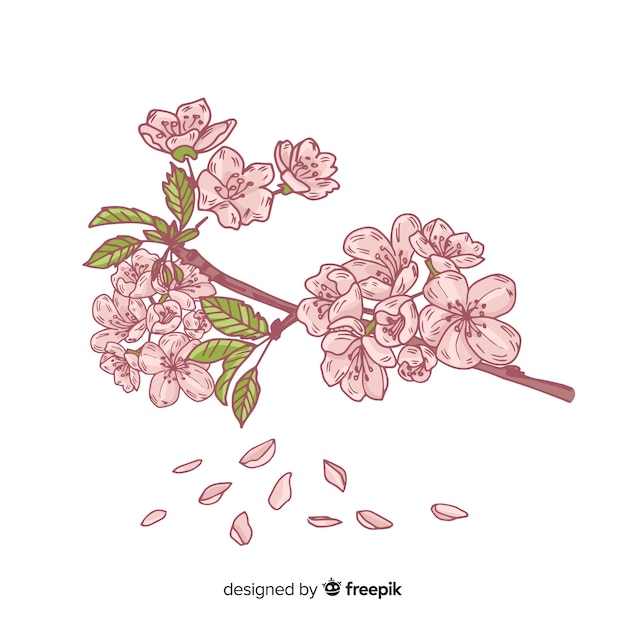 Free vector hand drawn cherry blossom branch