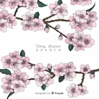 Free vector hand drawn cherry blossom branch