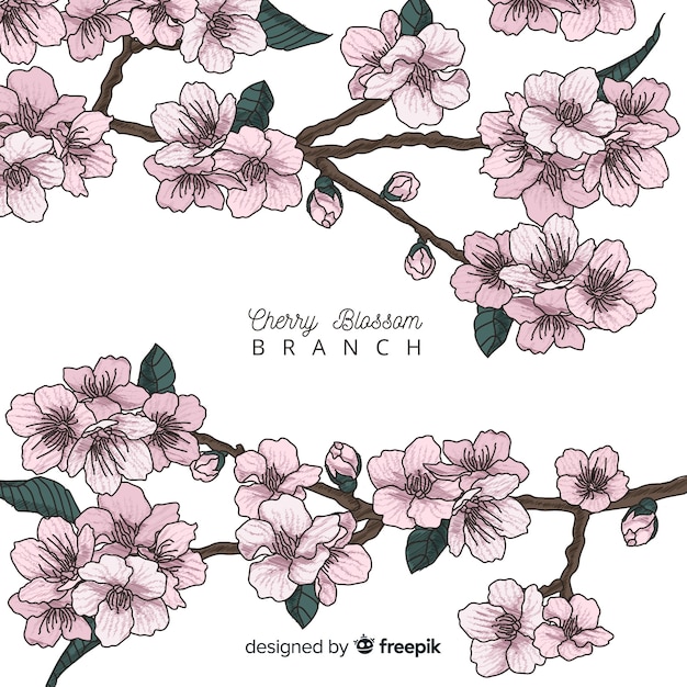 Hand drawn cherry blossom branch