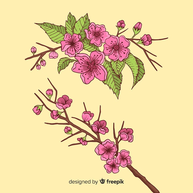 Free vector hand drawn cherry blossom branch