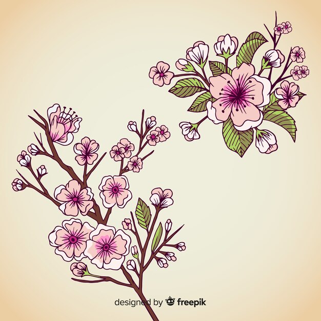 Hand drawn cherry blossom branch