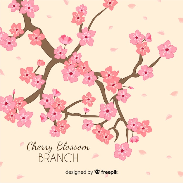 Free vector hand drawn cherry blossom branch
