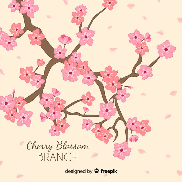 Hand drawn cherry blossom branch