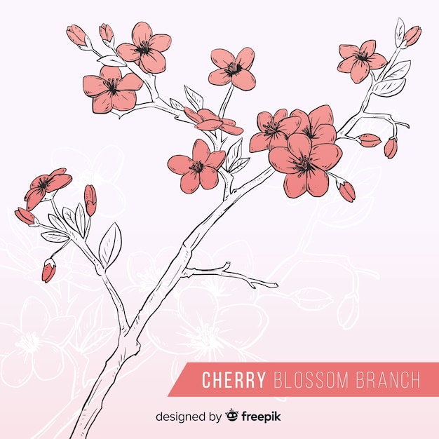 Vettore gratuito ramo di fiori di ciliegio disegnato a mano