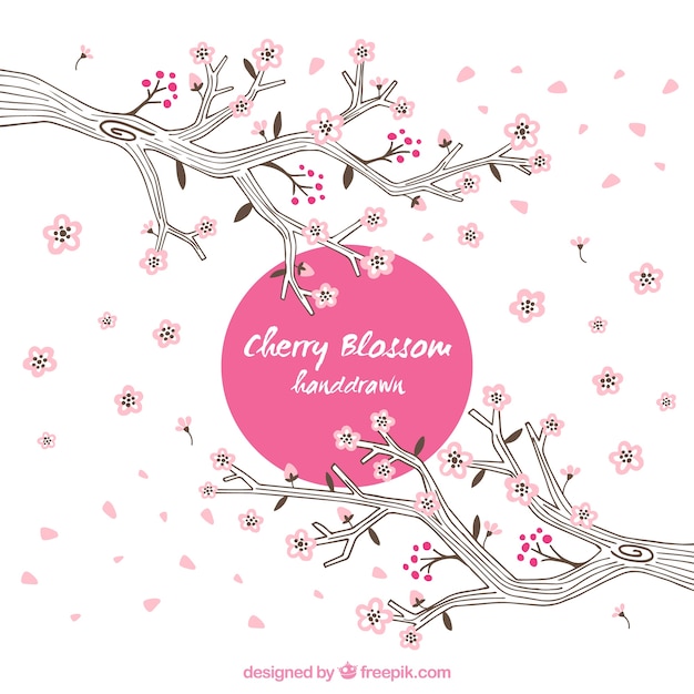 Free vector hand drawn cherry blossoms background