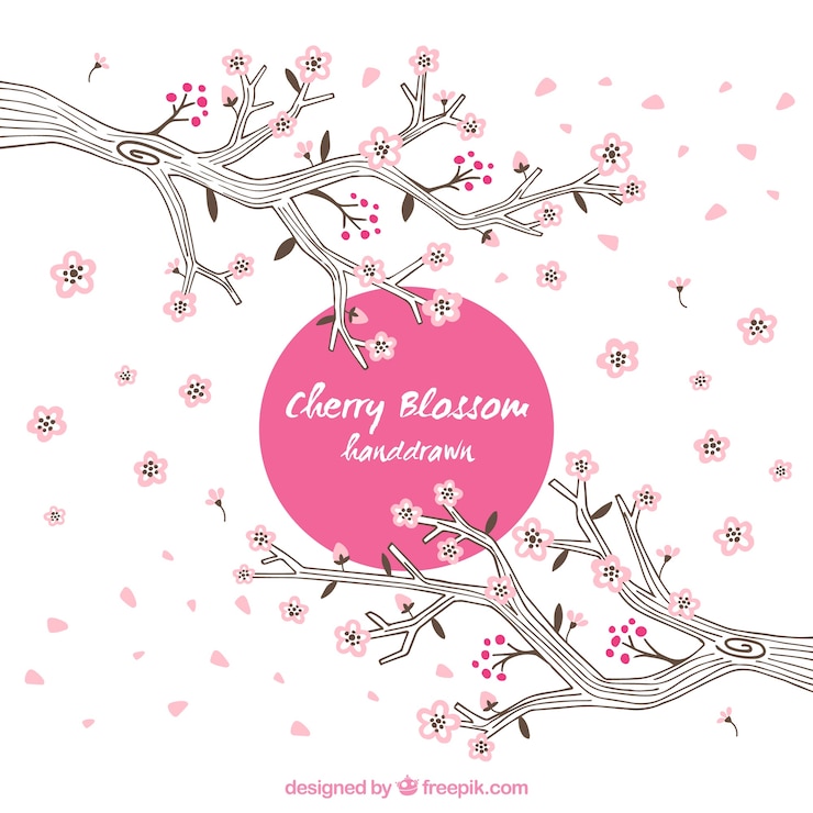 Free Vector hand drawn cherry blossoms background