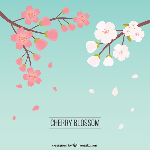 Hand drawn cherry blossoms in two colors