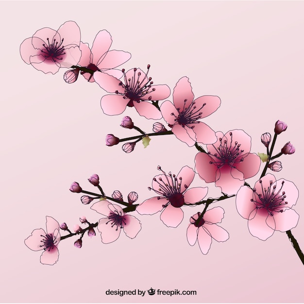 無料ベクター 手描きの桜