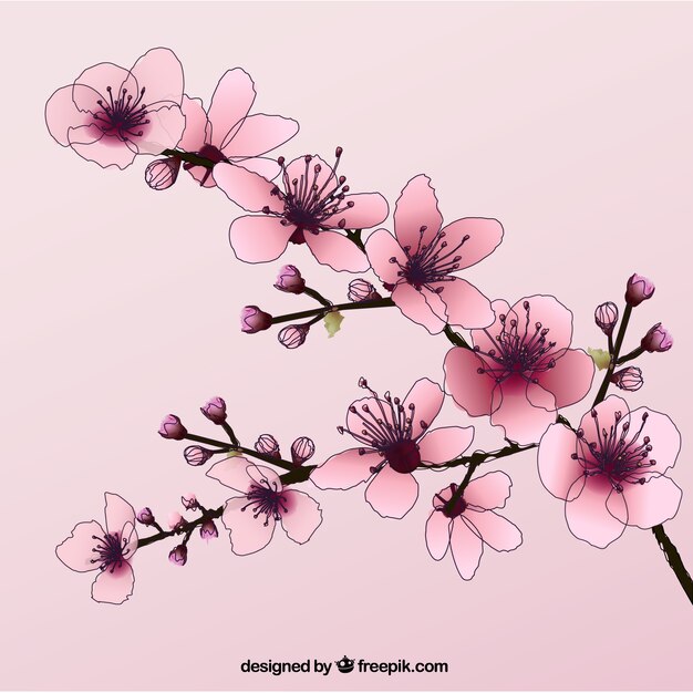 手描きの桜