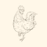 Free vector hand drawn chicken outline illustration