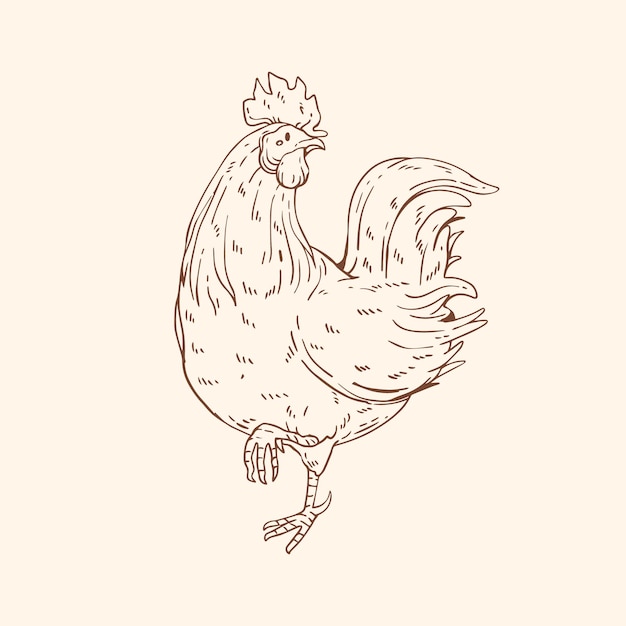 손으로 그린 닭 개요 그림