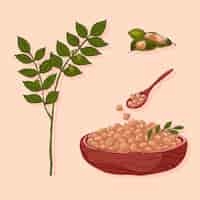 Free vector hand-drawn chickpea beans and plant illustration