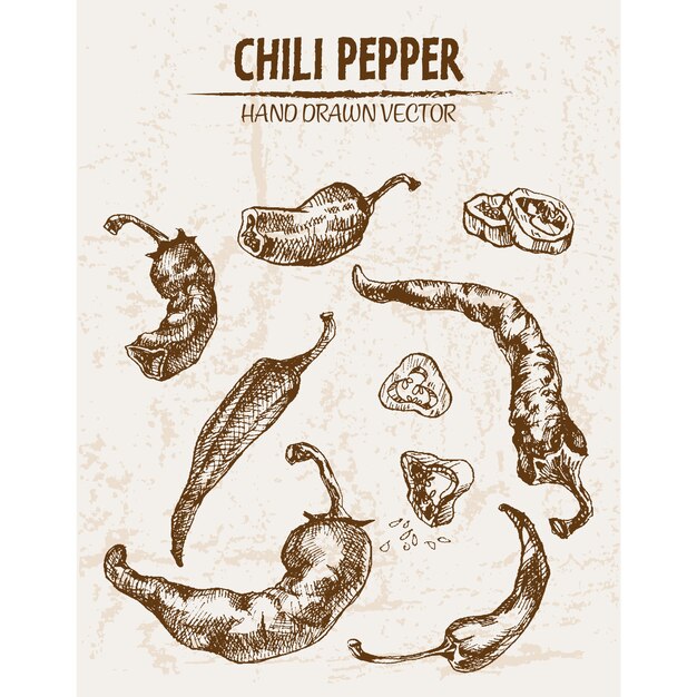 Hand drawn chili peper collection