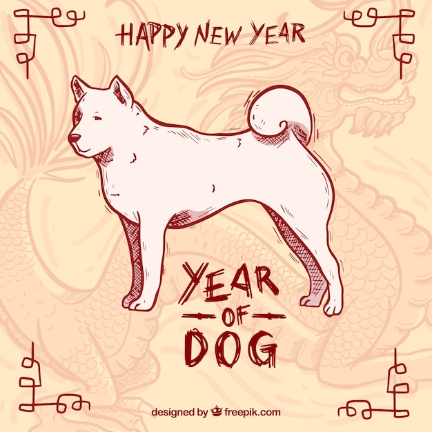 Free vector hand drawn chinese new year background