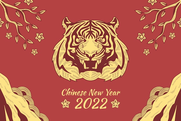 Hand drawn chinese new year background