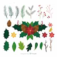 Free vector hand drawn christmas flower and wreath collection