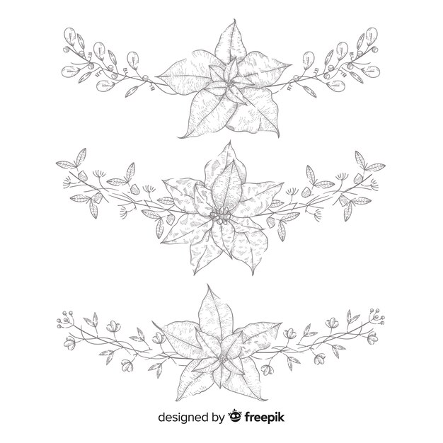 Hand drawn christmas flower & wreath collection