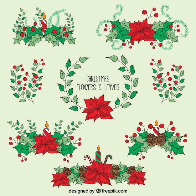 Hand drawn christmas flowers and leaves