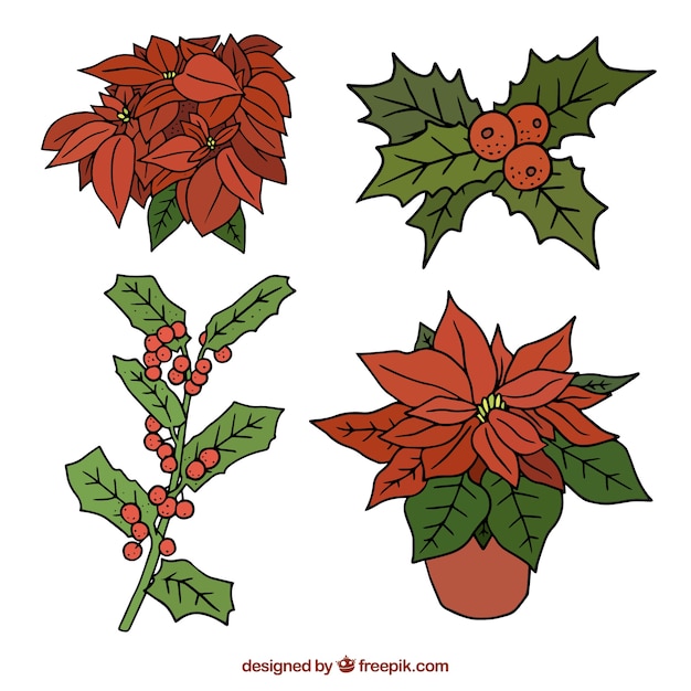 Free vector hand drawn christmas flowers