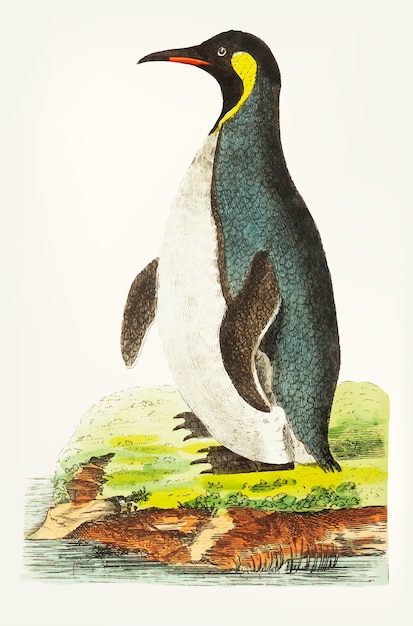 手描きの紺碧のペンギン