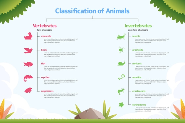 Hand drawn classification of animals infographic