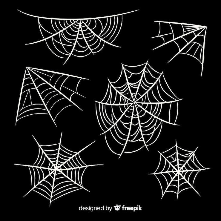 Free Vector hand drawn cobweb collection