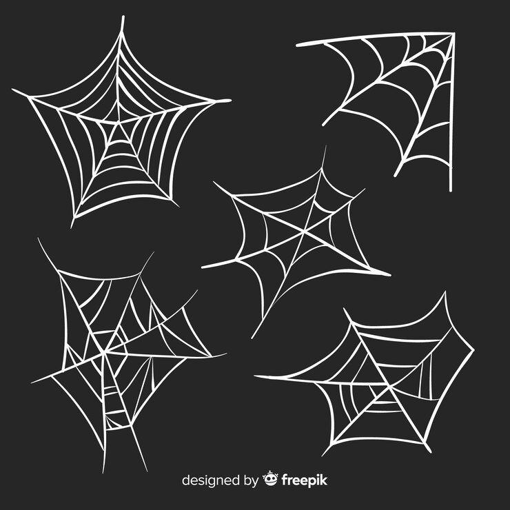 Free Vector hand drawn cobweb collection