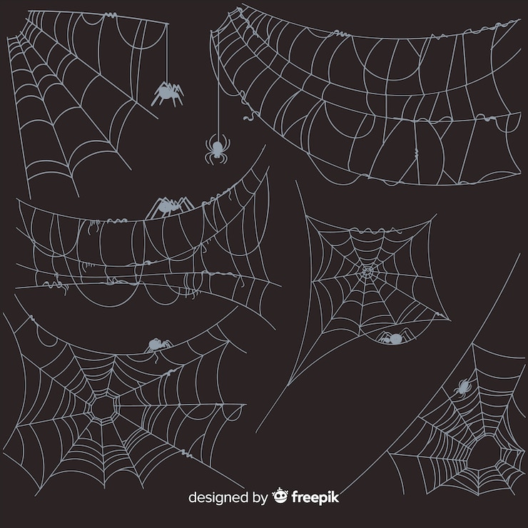 Free Vector hand drawn cobweb collection