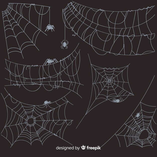 Hand drawn cobweb collection